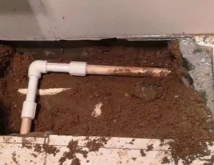 刚察测漏水哪家好