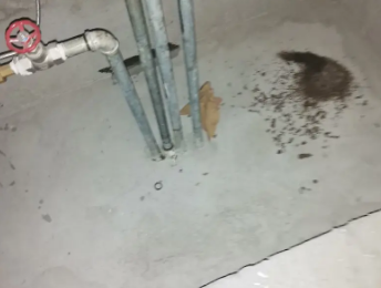 刚察卫生间测漏水价格明细