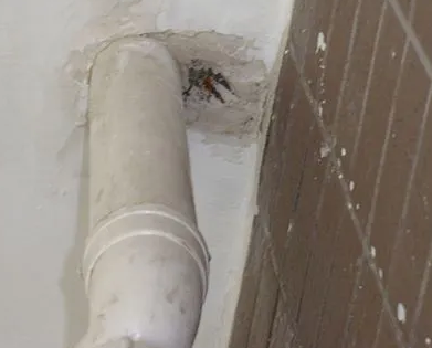 刚察漏水检测哪家好